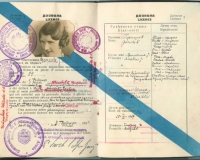 licenca