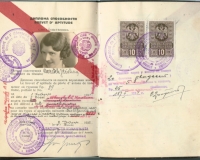 licenca3