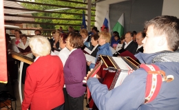 pristava09g