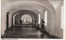 zg-hodnik